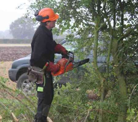 Chainsaw Training Chainsaw Training